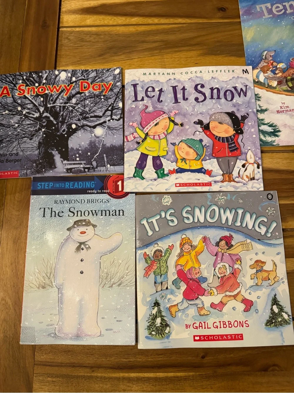 Snow & Winter 16 Books - Bundle